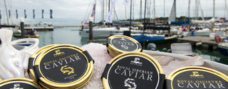 Making Waves at Cowes Week