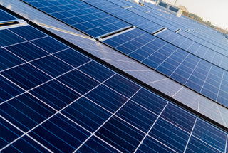 Attilus Caviar | Sustainable Caviar | Sturgeon Fish Farm