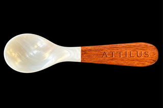 Mother of Pearl Spoon with wood handle